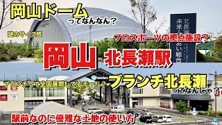 岡山駅から1駅隣はまだ都会ですか？駅前なのに優雅な再開発をしている北長瀬駅周辺を調査 [upl. by Lawler]