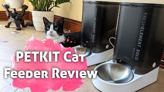 PETKIT Cat Automatic Feeder Review l Fresh Element Solo [upl. by Naldo547]