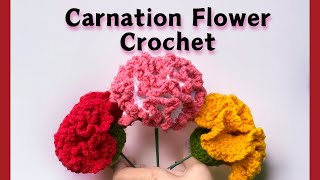 Crochet Carnation Flower beginner Tutorial 🌺🌸 [upl. by Ahsimik]