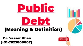 Public Debt  Meaning And Definition [upl. by Buyers]