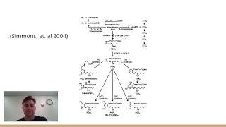 Eicosanoids and Prostaglandins [upl. by Mercedes600]