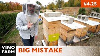 A Beekeeping Lesson Learn From My Mistake Carniolan Hive Update [upl. by Anhoj942]