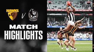 Hawthorn v Collingwood Highlights  Round 12 2022  AFL [upl. by Mycah]