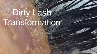 🤩Dirty Eyelash Cleaning beauty lashes cleaning viral satisfying satisfyingvideo eyelashes [upl. by Ahsikyt]