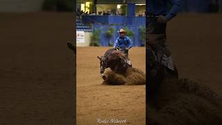 Matt Mills  NRHA lifetime Wins of over 100000000 😬 [upl. by Silbahc]