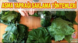 ASMA YAPRAĞI SAKLAMA YÖNTEMLERİ👌🏻 3 FARKLI SAKLAMA🍃SALAMURA VAKUM ve DONDURUCU ŞEFFAF MUTFAK [upl. by Violette715]