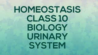 HOMEOSTASIS CLASS 10 BIOLOGY URINARY SYSTEM [upl. by Cicely731]