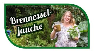 Brennesseljauche herstellen ansetzen🌱 Unser Spezialrezept 🌱 Brennnesseljauche Bester Dünger [upl. by Egan]