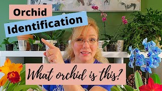 Orchid Identification The 5 Most Common Orchids for Beginners [upl. by Atalante]