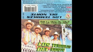 Los Temibles del Norte Full Album [upl. by Peregrine]