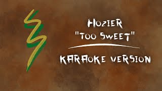 Hozier  Too Sweet  Karaoke [upl. by Candra414]