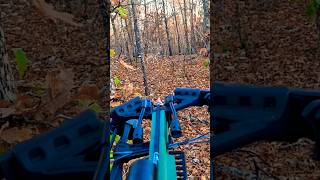 Archery deer hunt crossbow deer hunting [upl. by Enrahs]