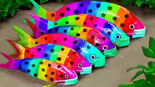 Mud Survival Fun Pink Koi Fish Swallow Rainbow Fish Colorful Fish Primitive Stop Motion ASMR [upl. by Jacenta166]