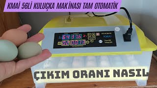 100 VERİMLİLİK İÇİN DİKKAT ETMEMİZ GEREKENLER  KMAI 56lı Tam Otomatik Kuluçka Makinesi [upl. by Camilla]