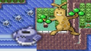 How to find Wailmer Pail and Sudowoodo in Pokemon Emerald [upl. by Matthieu]