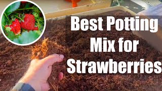 What is the Ideal Potting Mix for Strawberries [upl. by Derby746]