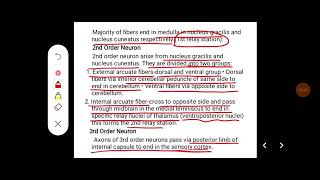 Q Describe dorsal column tract in brief [upl. by Lucic934]