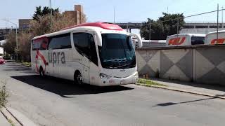 Irizar pb Supra [upl. by Anaeel]