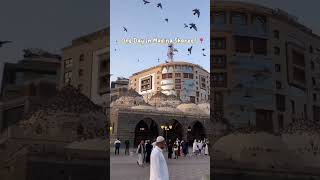 Madina nabi ka trending urdu ammenmd arman paviloni [upl. by Everson]