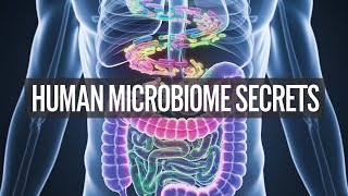 Human Microbiome Secrets Astonishing Facts from Gut Bacteria Research [upl. by Colton]