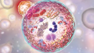 Autophagys DoubleEdged Role Epigenetic and PostTranslational Modulations in Health and Disease [upl. by Naaman]