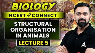 Structural Organisation in Animals Class 11 NEET 2025  Biology NCERT CONNECT Series  Vishal Sir [upl. by Sorensen]