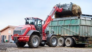 Weidemann – Teleskopradlader 9580T Einsatz in der Landwirtschaft [upl. by Reeve]