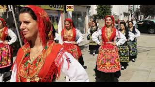 Viana do Castelo  Desfile Mordomas [upl. by Racklin]