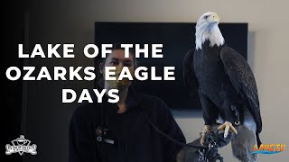 Lake of the Ozarks Eagle Days [upl. by Lim]