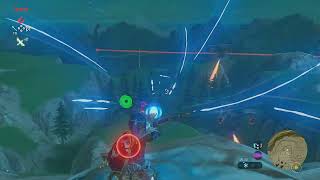 The Legend of Zelda Breath of the Wild  100 Run  Day 141 [upl. by Humble331]