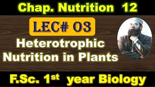 Heterotrophic Nutrition in plants I Chapter 12 I Nutrition I class 11 I First year I Lec 03 [upl. by Annerb]