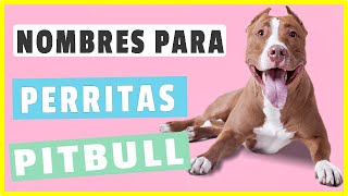 ✅ Nombres Para Perritas PITBULL mas de 50 Nombres Increibles [upl. by Erund828]