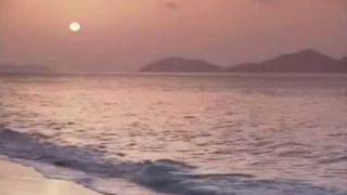 Margaritaville  Jimmy Buffett  Lyrics below video [upl. by Reffinnej884]