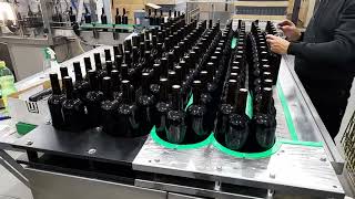 Bottle accumulation conveyor  July 2022 [upl. by Nived]