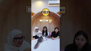 Soft Opening Kopi Cat Cafe by Groovy Surabaya [upl. by Darej]