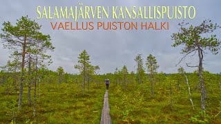 Vaellus Kansallispuiston halki  Salamajärven Kansallispuisto [upl. by Cord]