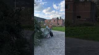 Rural life on the way home from work Funny video laugh every time you watch it [upl. by Lamb]