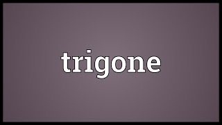 Trigone Meaning [upl. by Herta145]