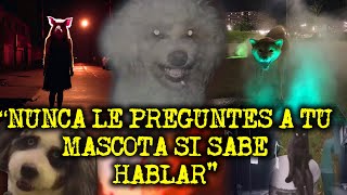 quotNO LE PREGUNTES A TU MASCOTA SI PUEDE HABLARquot RELATOS DE ANIMALES ACTUANDO COMO HUMANOS [upl. by Ahsirpac]