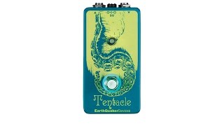 EarthQuaker Devices Tentacle Analog Octave Demo [upl. by Glendon]