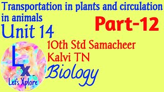 10 std Biounit 14 circulation in animalsComponents of blood  Made easy Part 12Samacheer TN [upl. by Naylor486]