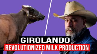 🔴 🌱 GIROLANDO The Breed That REVOLUTIONIZED Milk Production In The Tropics 🥇🐄 [upl. by Artenra]