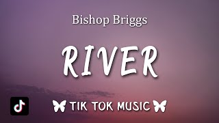 Bishop Briggs  River Lyrics Like a river like a river TikTok Song [upl. by Nekcarb]