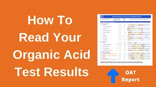 Organic Acids Test Interpretation With Treatment Suggestions [upl. by Raimundo]