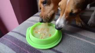 Huhubamboo sopa de pollo para perros Mascoticlub mayo 2015 [upl. by Gerdy]