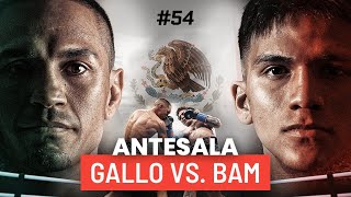 Gallo Estrada vs Bam Rodriguez ANTESALA [upl. by Aletsirc678]