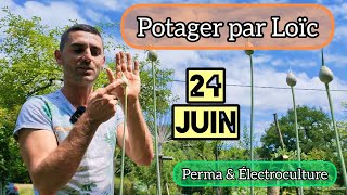 POTAGER 24 Juin par Loïc  Perma amp Électroculture [upl. by Wahkuna]