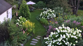 July Garden Tour  Lilies Gladiolus Acidanthera and More  Northlawn Flower Farm [upl. by Ares263]