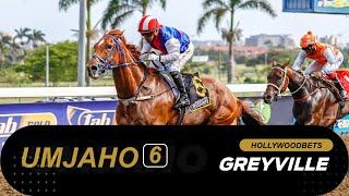 20241027 isiZulu Hollywoodbets Greyville Race 6 won by NOCTURNAL FLIGHT [upl. by Nagaer]