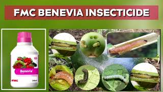 Benevia hindi FMC Insecticide Cyantraniliprole 10 26 OD w w DuPont Benebia Tomotofruits Borer [upl. by Amleht47]